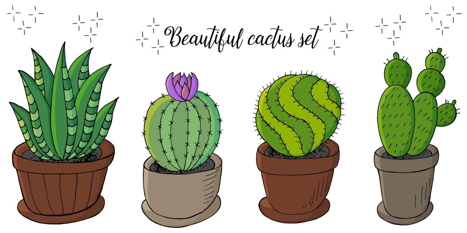 Cute vector illustration. Cacti, aloe, succulents. Decorative natural elements