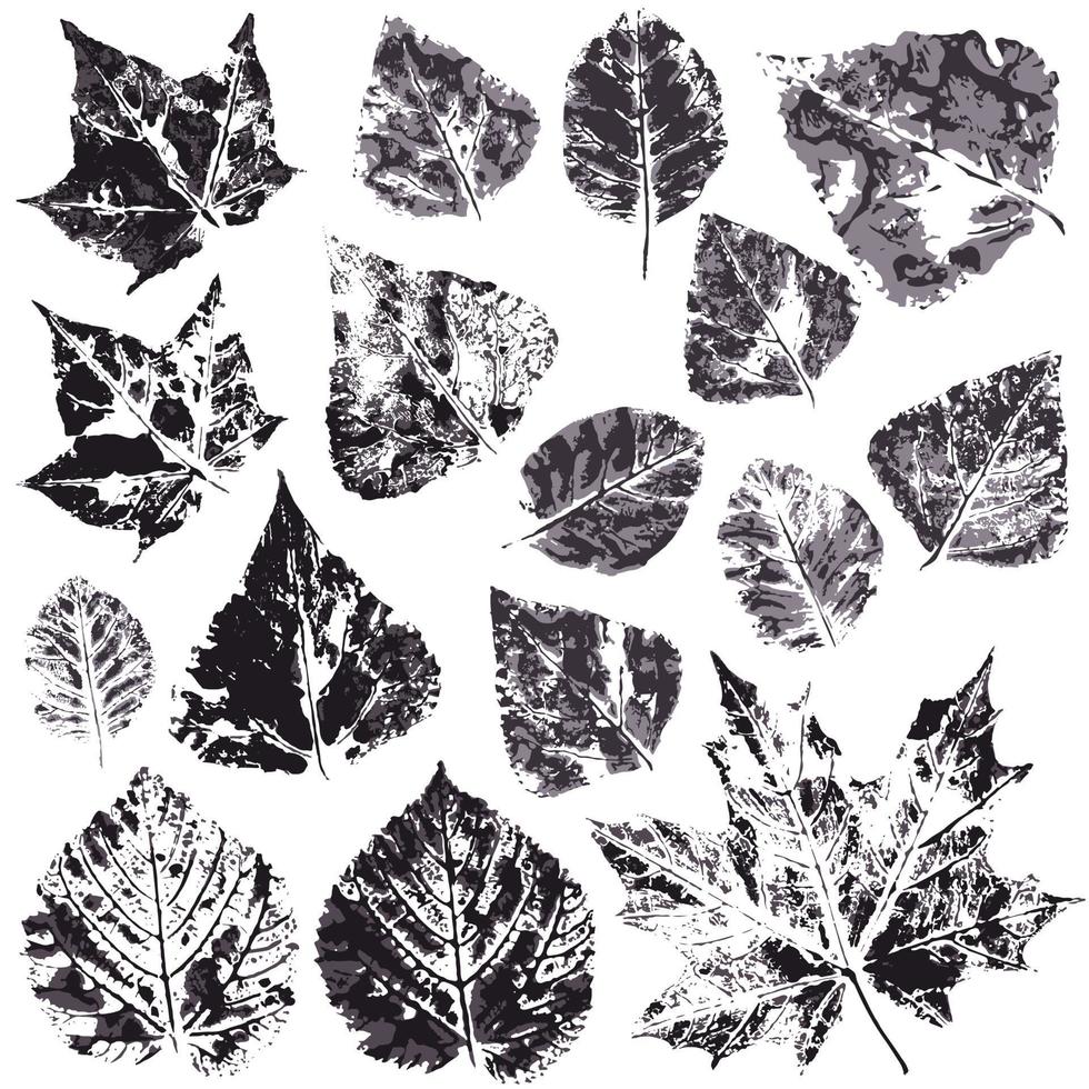 Set of vector drawings with acrylic paints. Collection of autumn leaves