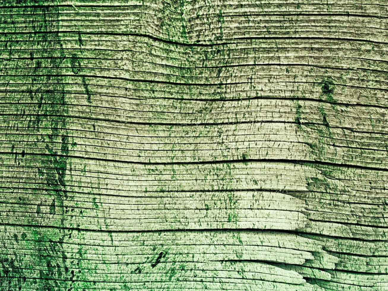textura de madera verde azulado foto