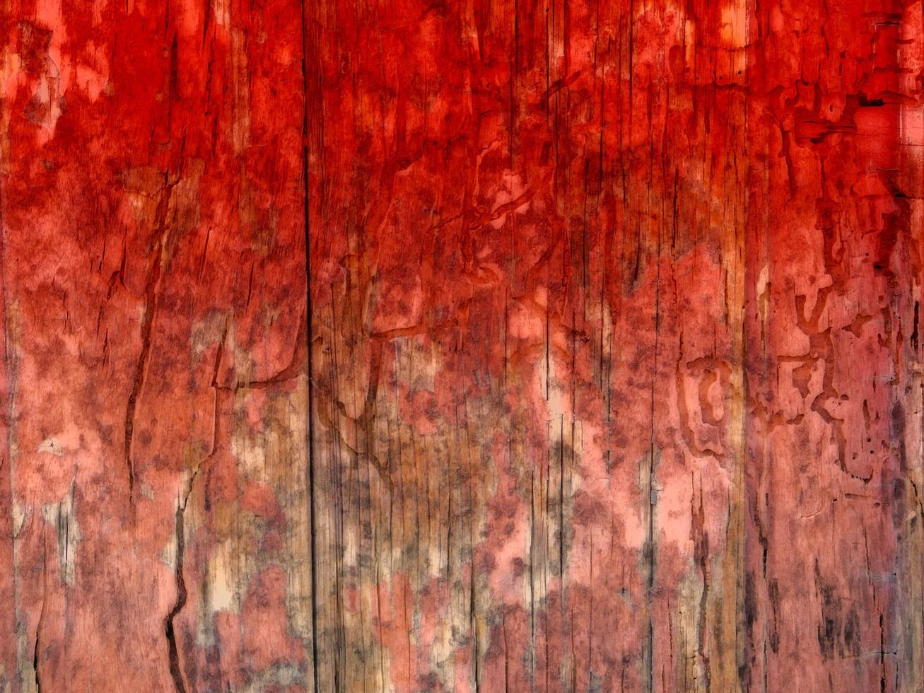 textura de madera colorida foto