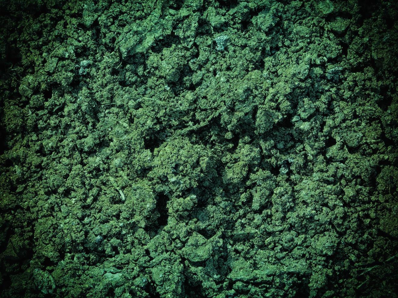 Green water ground texture photo