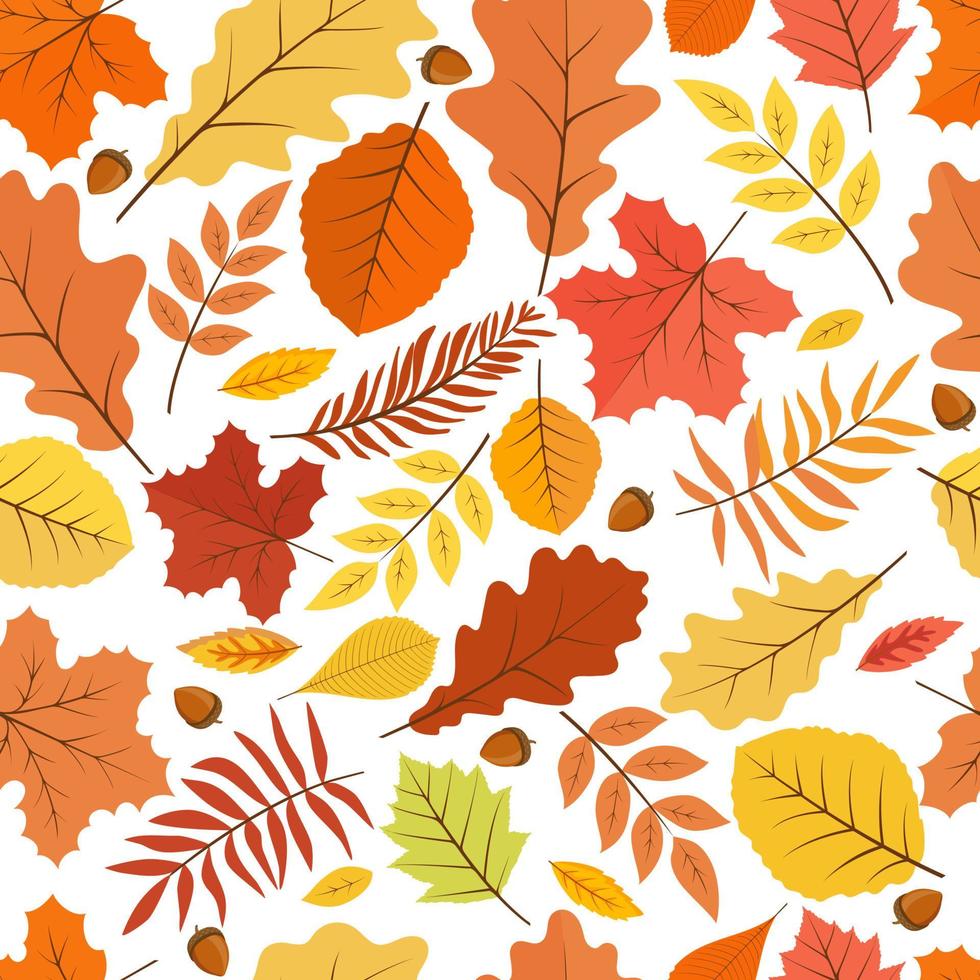 Autumn leafs with acorns seamless background. vector