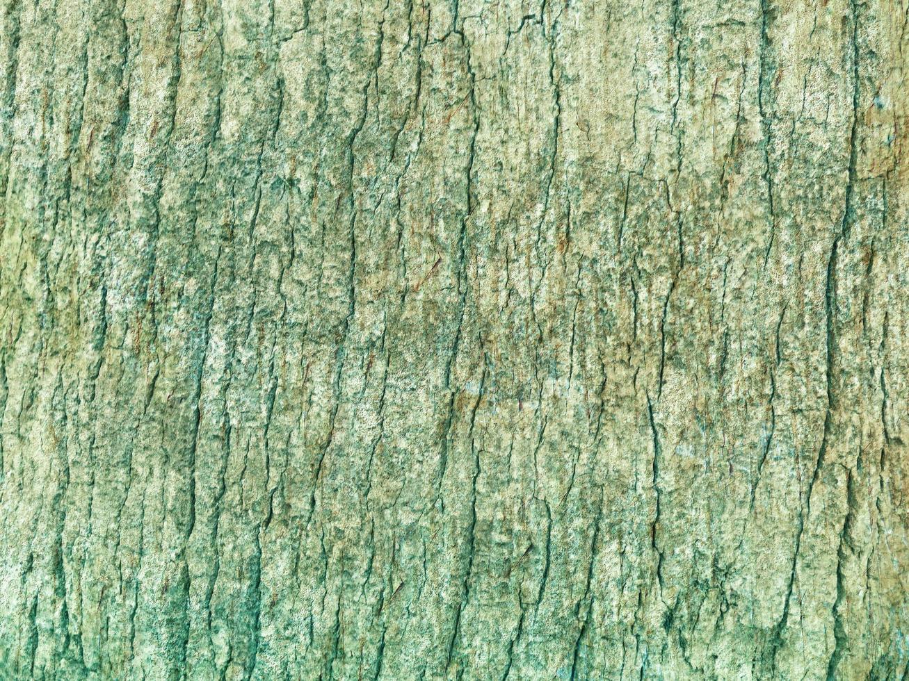 textura de madera verde azulado foto