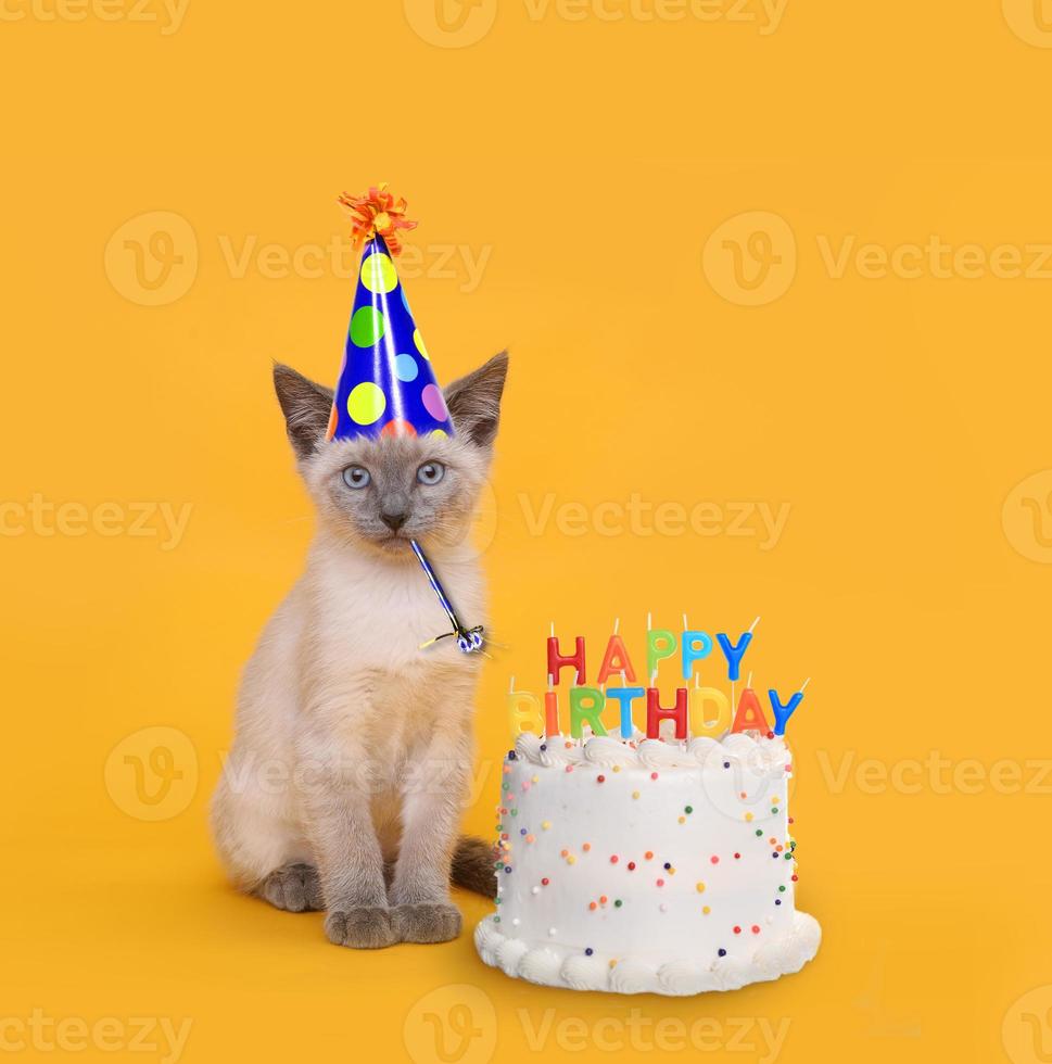 gatito en amarillo con celebración de pastel de cumpleaños foto