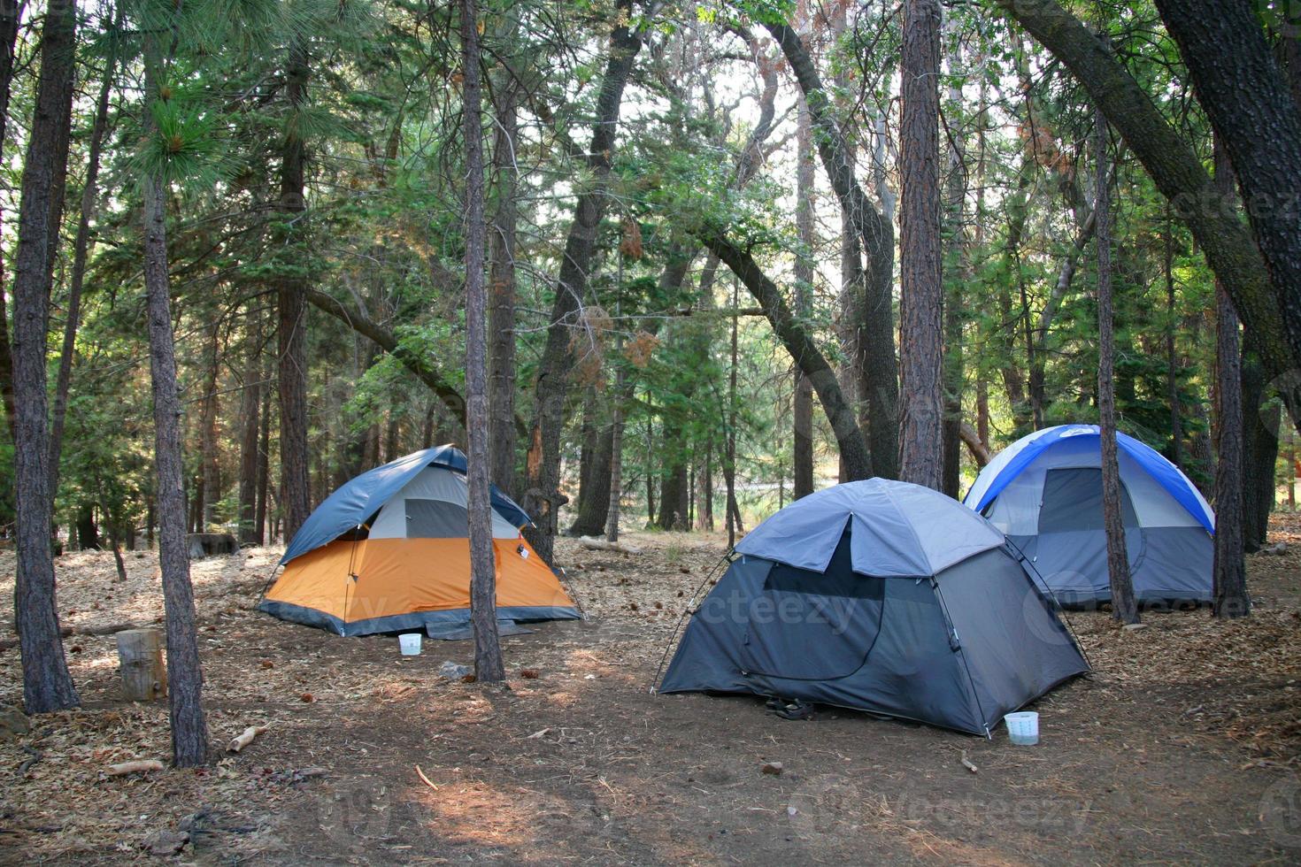 Three Tents Set up in the Lush Green Woods Outdoors photo