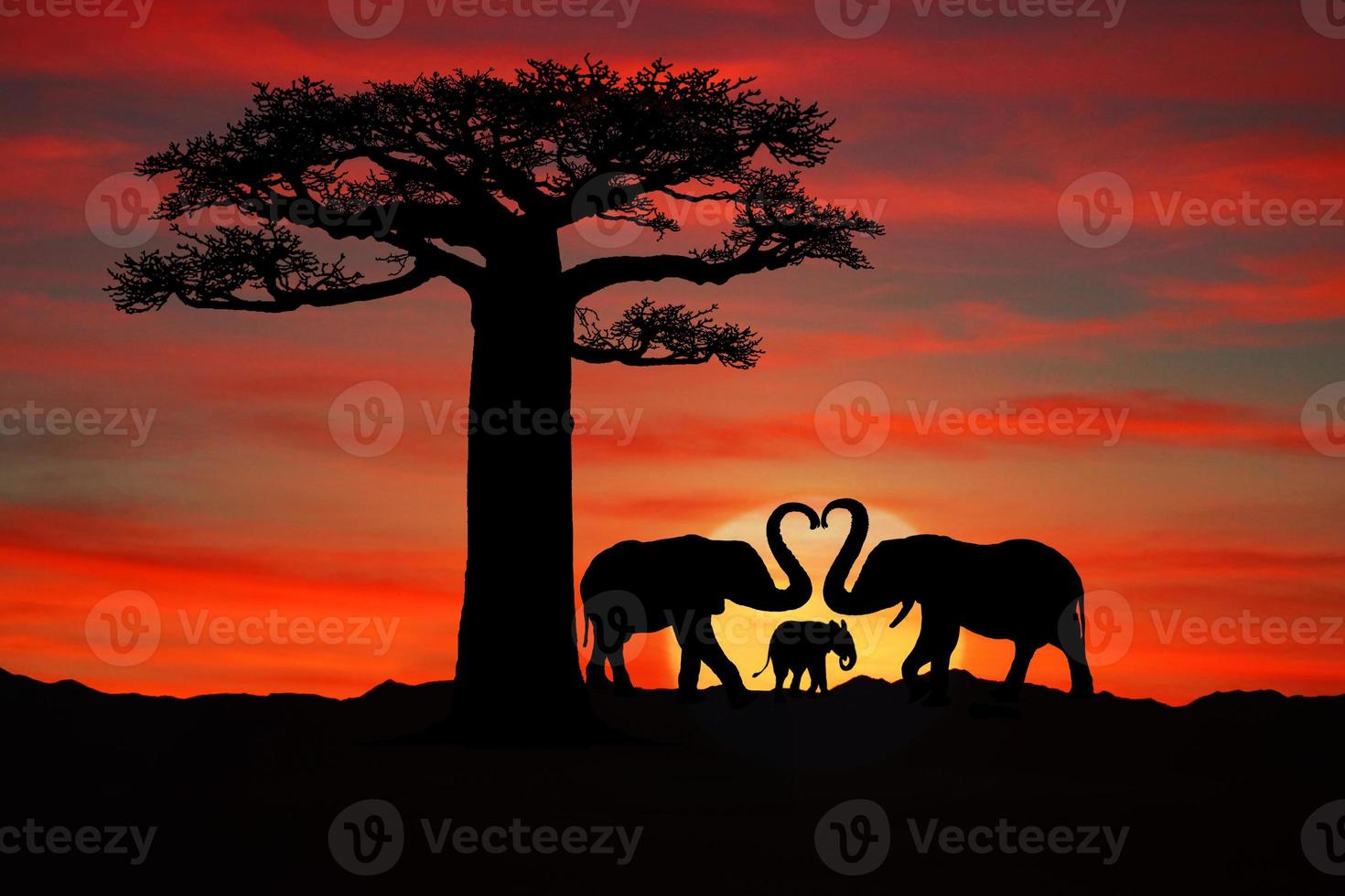 hermosa silueta de elefantes africanos al atardecer foto