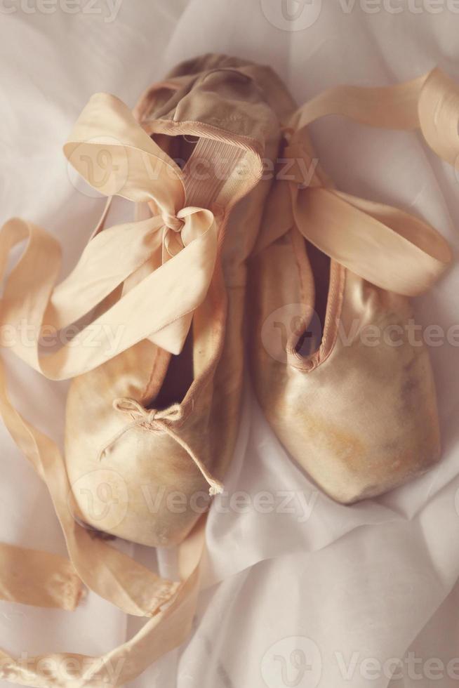 Posed Pointe Shoes in Natural Light photo