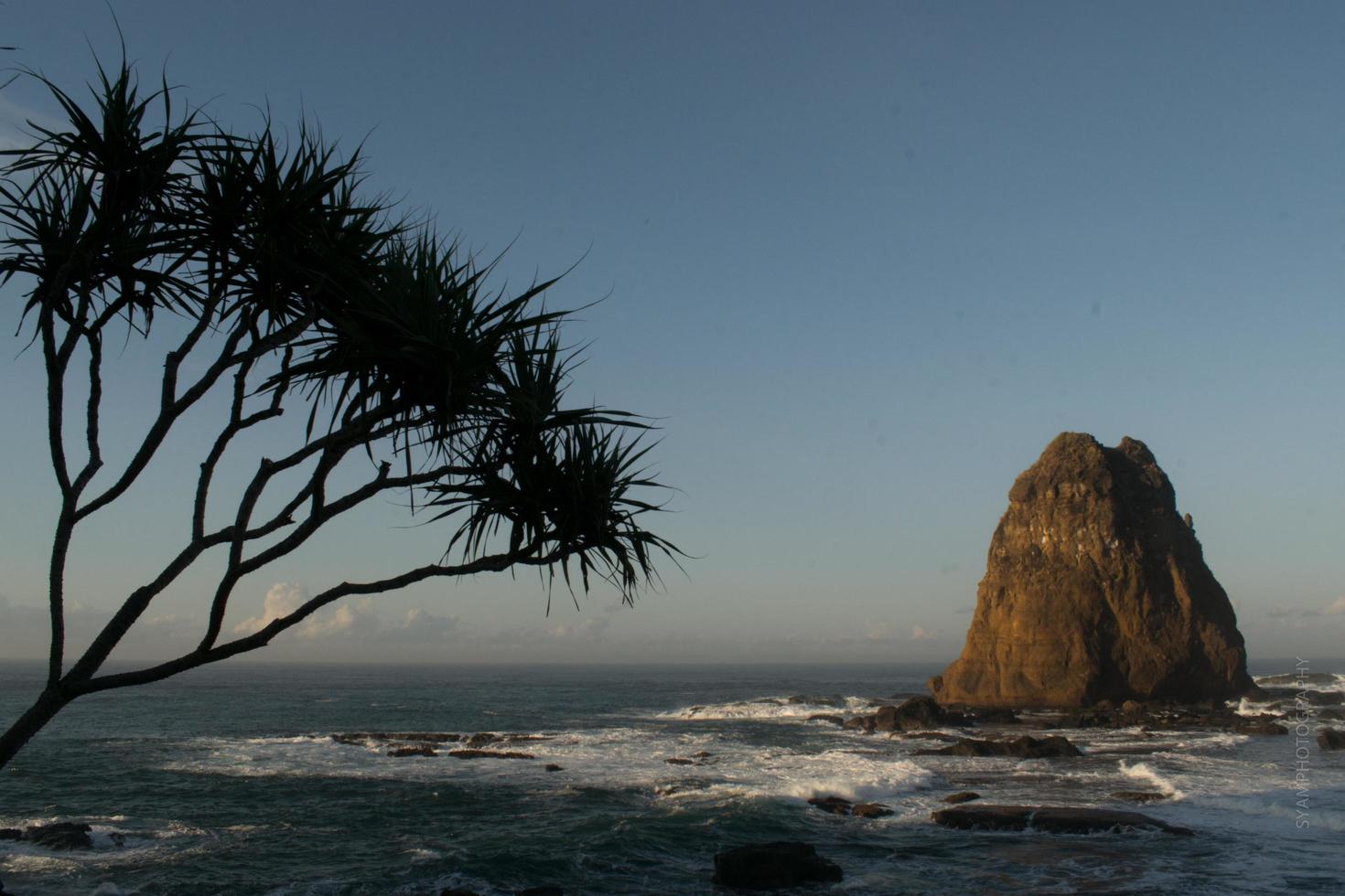 Summer,Morning view on a beautiful beach photo