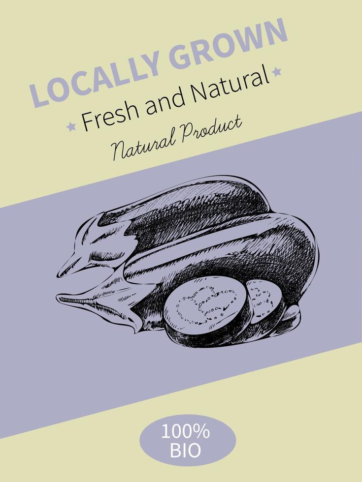 Vector hand drawing sketch of plant banner. Eco food product. Vintage vector illustration of an eggplant.
