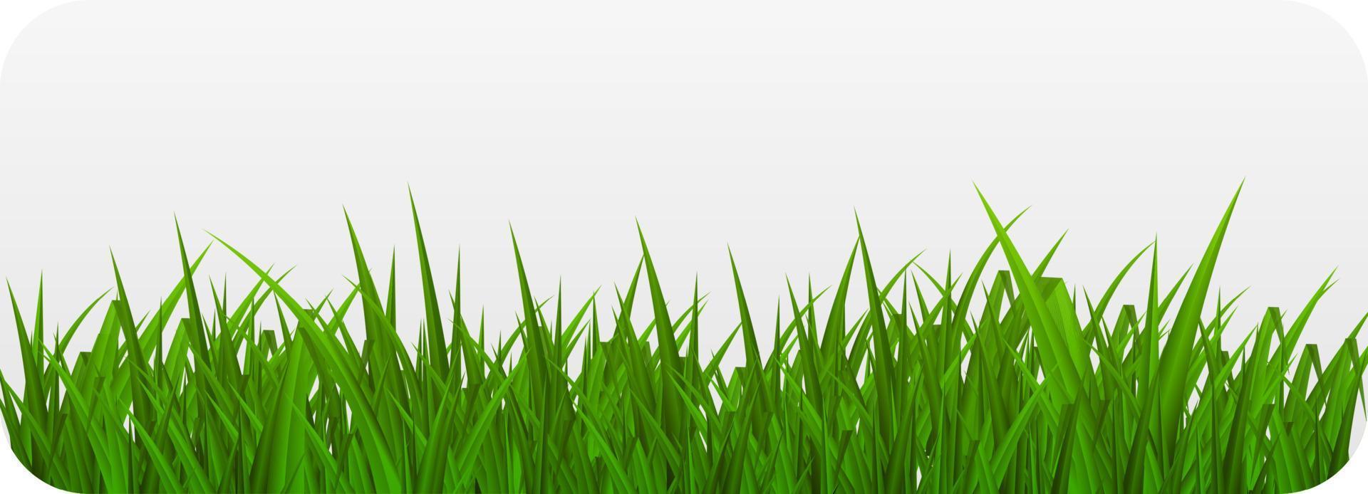 Summer Abstract Background with Grass. Vector Illustration.