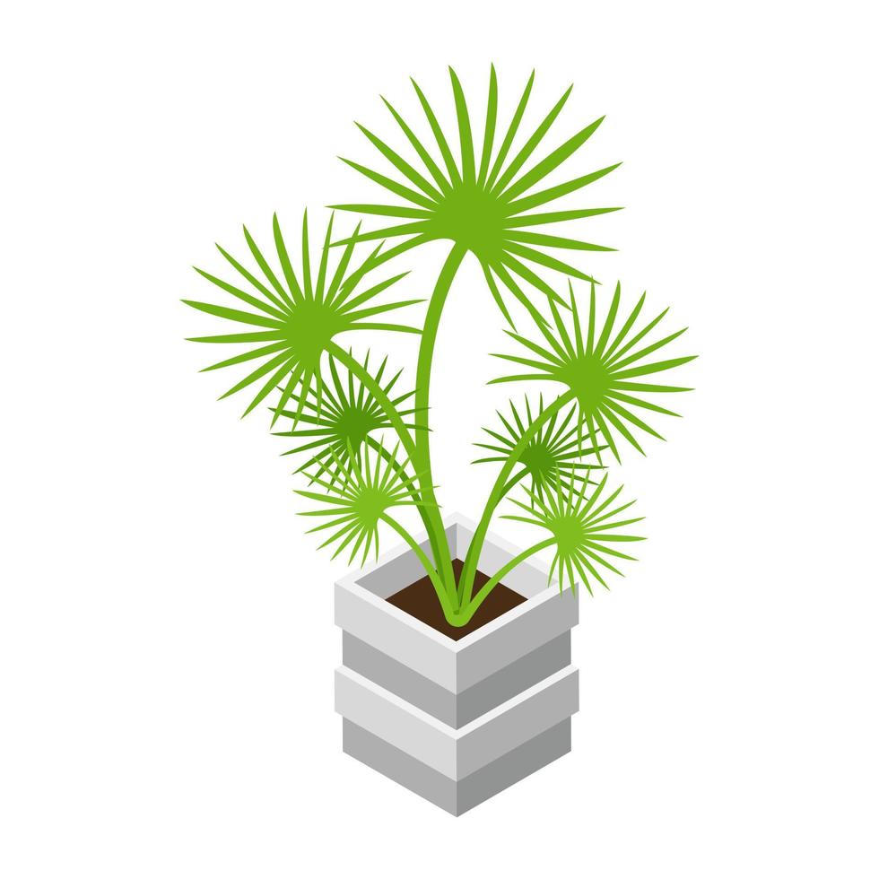 conceptos de plantas decorativas vector