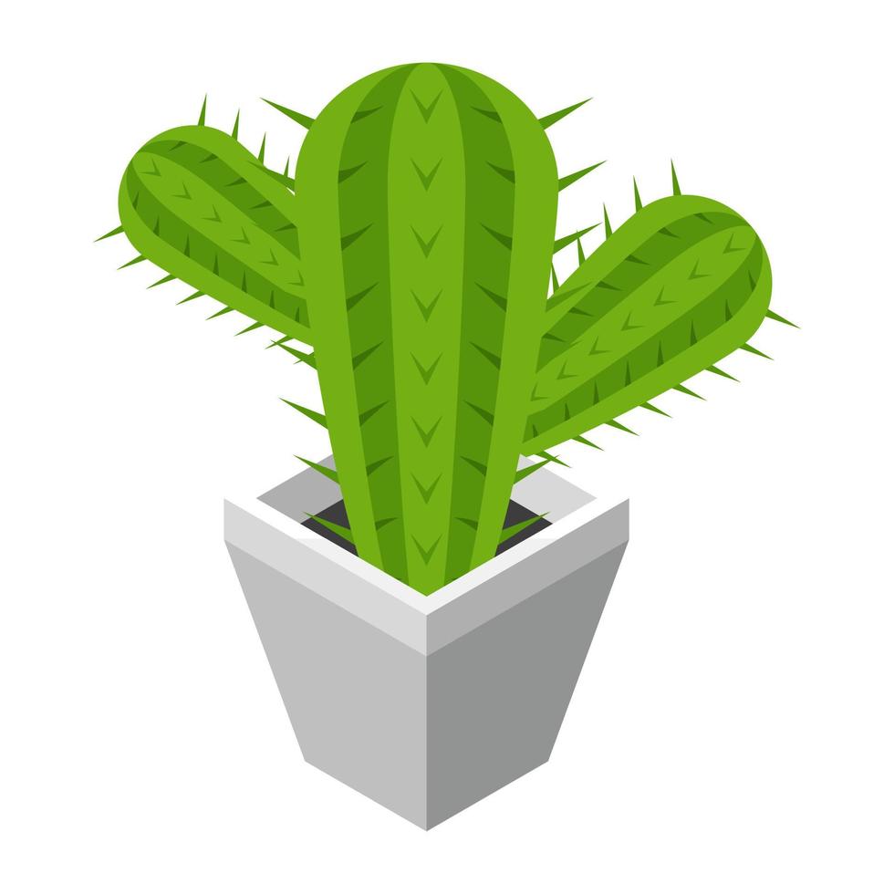 conceptos de plantas de cactus vector