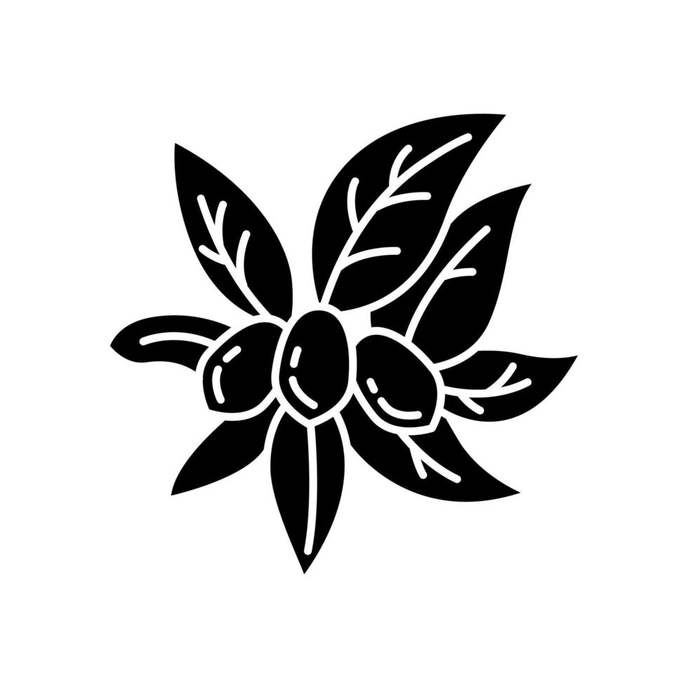 icono de glifo negro de jojoba vector