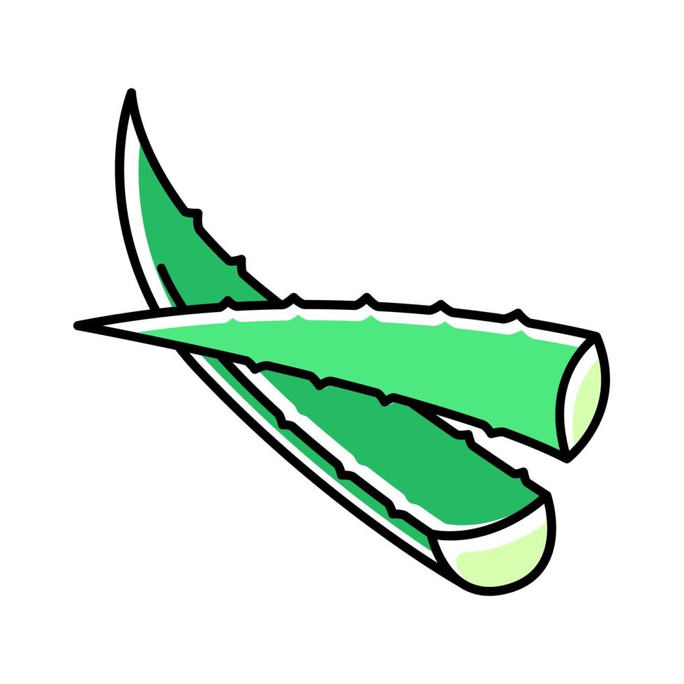 Aloe vera green color icon vector