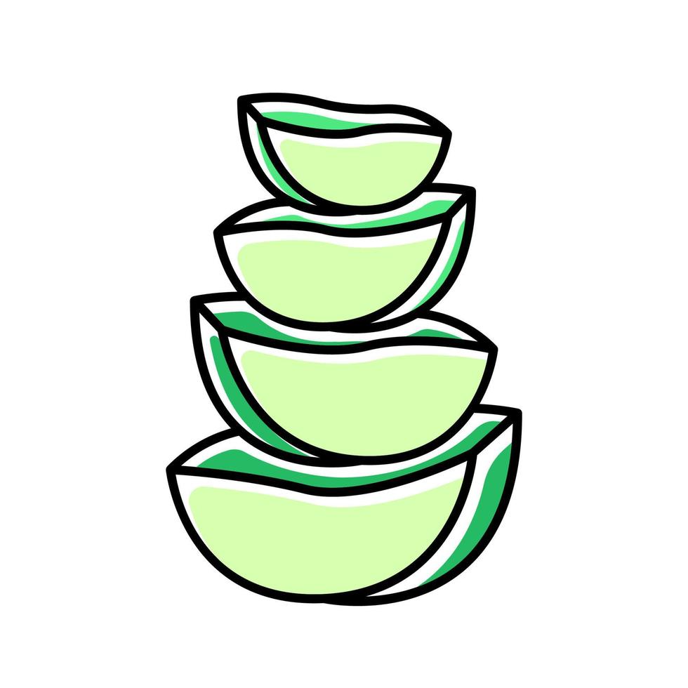 Aloe vera slices green color icon vector