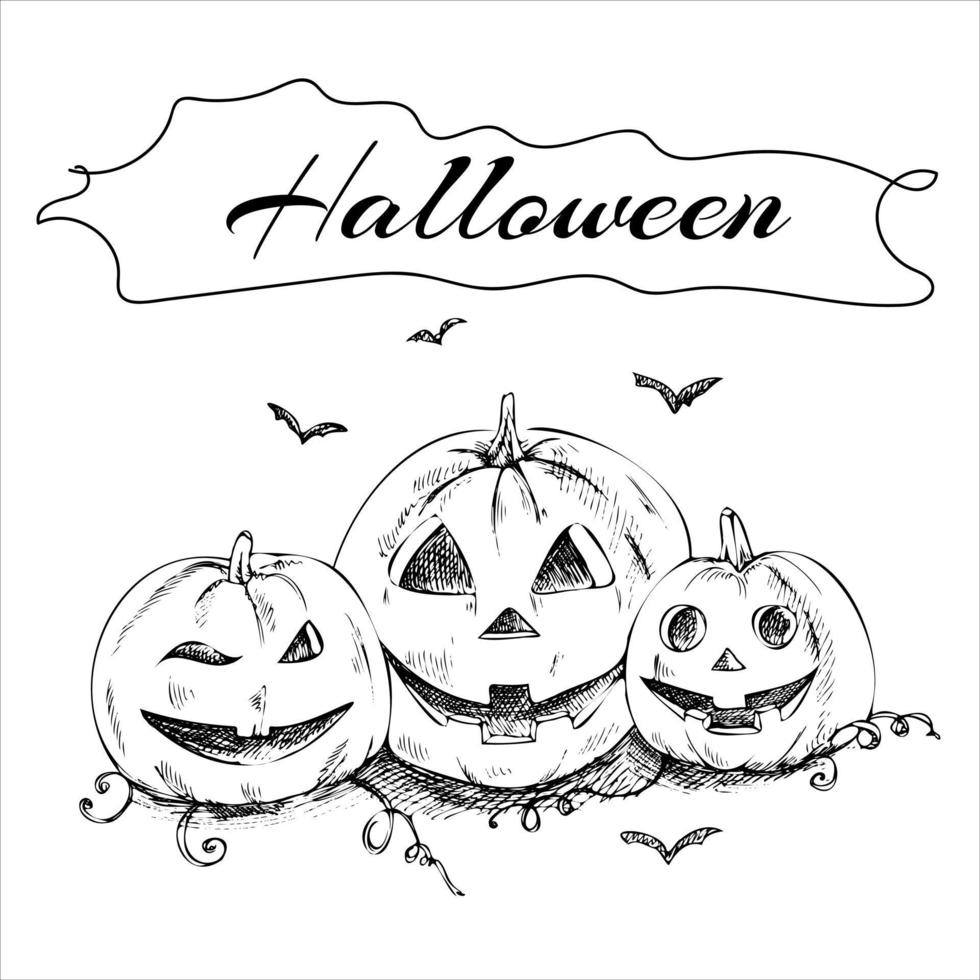 A hand-drawn sketch of pumpkins for Halloween. Vector illustration in vintage style.