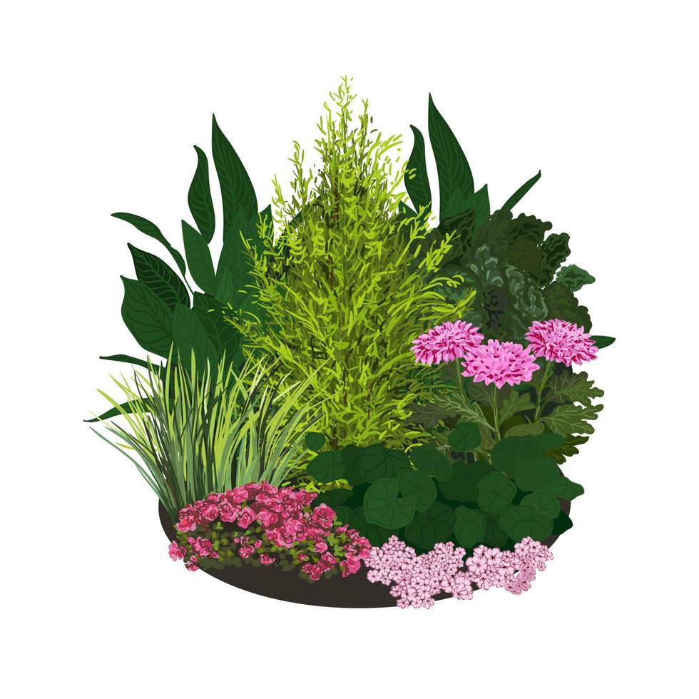 Paisajes de jardín, macizo de flores de verano y primavera. ilustraciones planas vectoriales vector