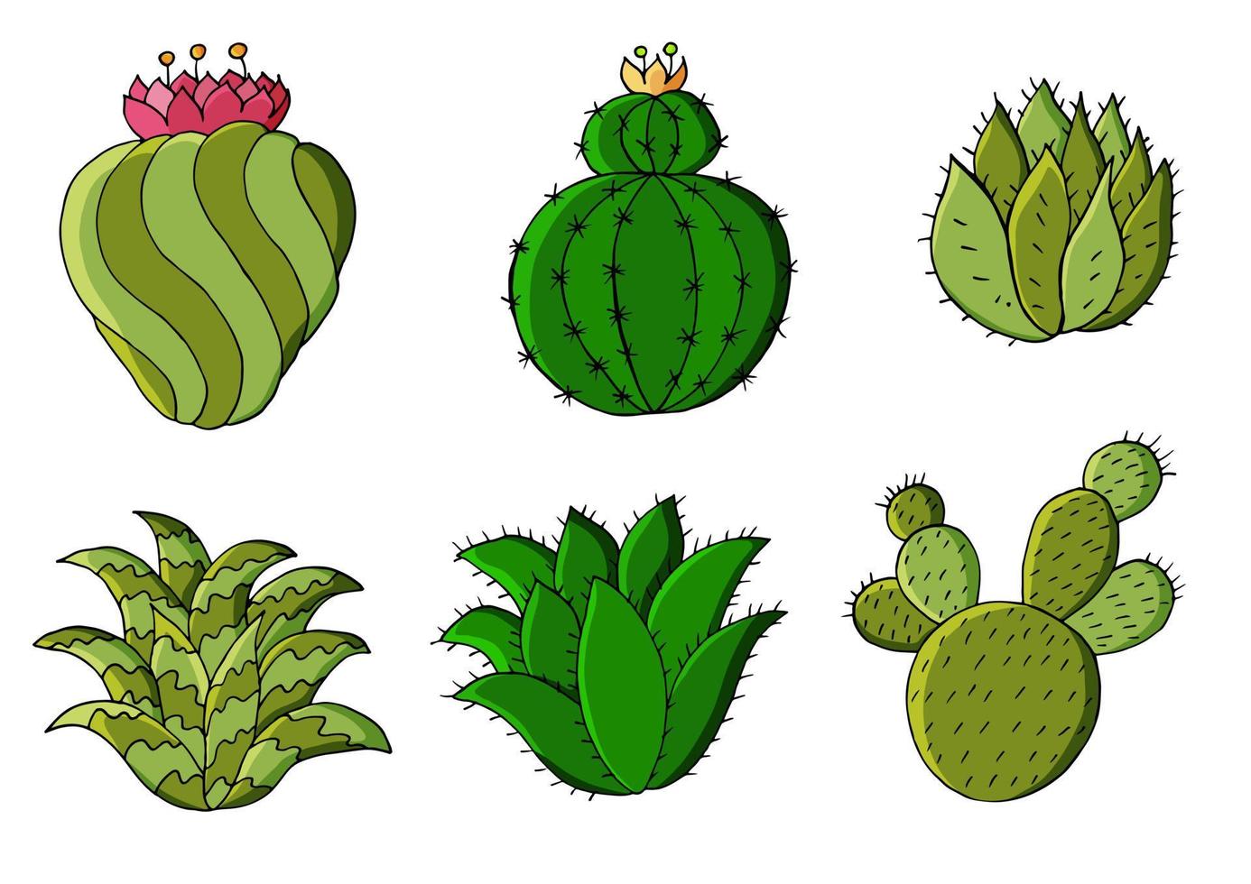 Cute vector illustration. Cacti, aloe, succulents. Decorative natural elements