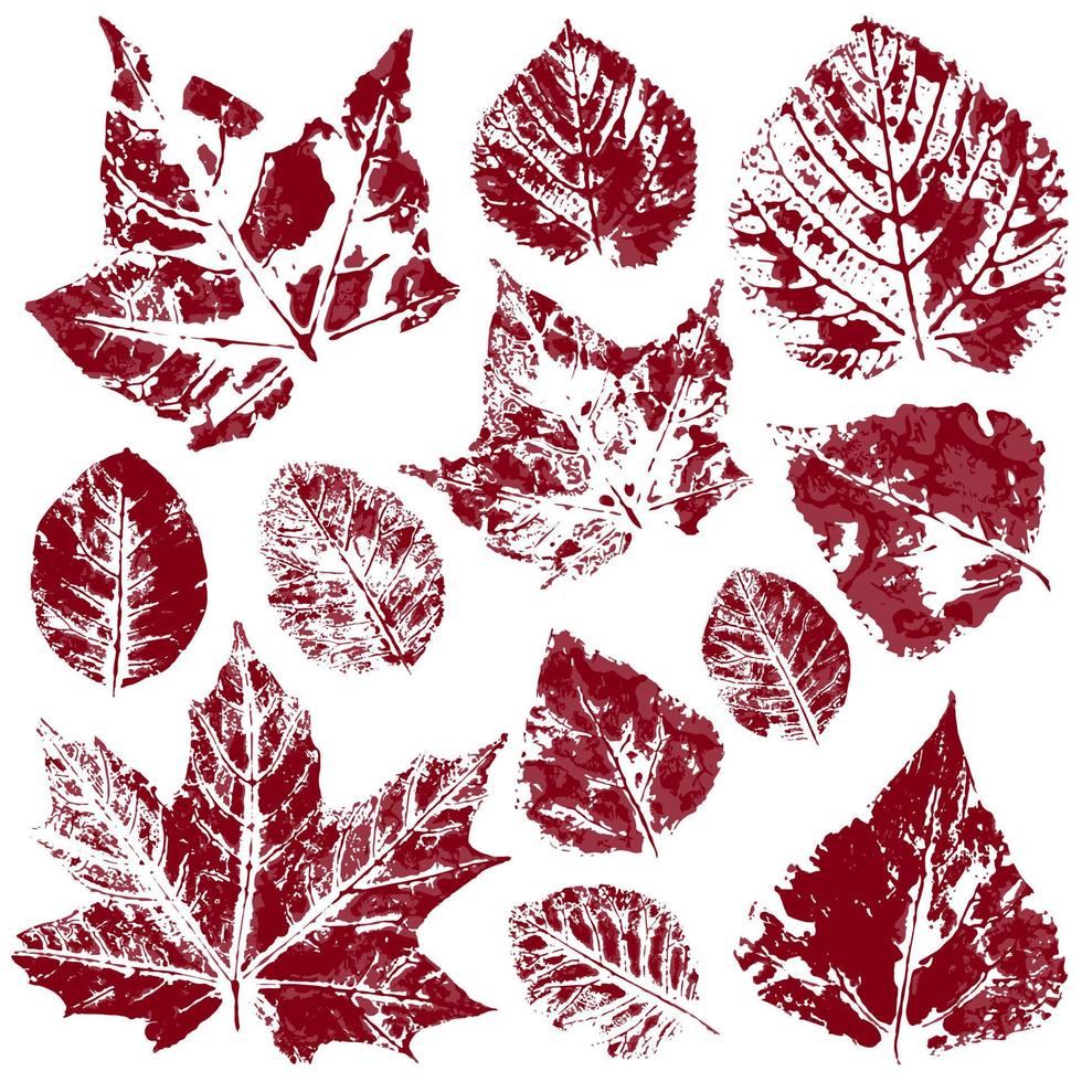 conjunto de dibujos vectoriales con pinturas acrílicas. colección de hojas de otoño vector