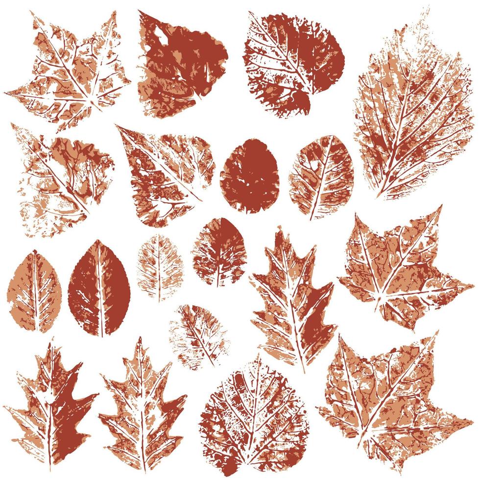 Set of vector drawings with acrylic paints. Collection of autumn leaves