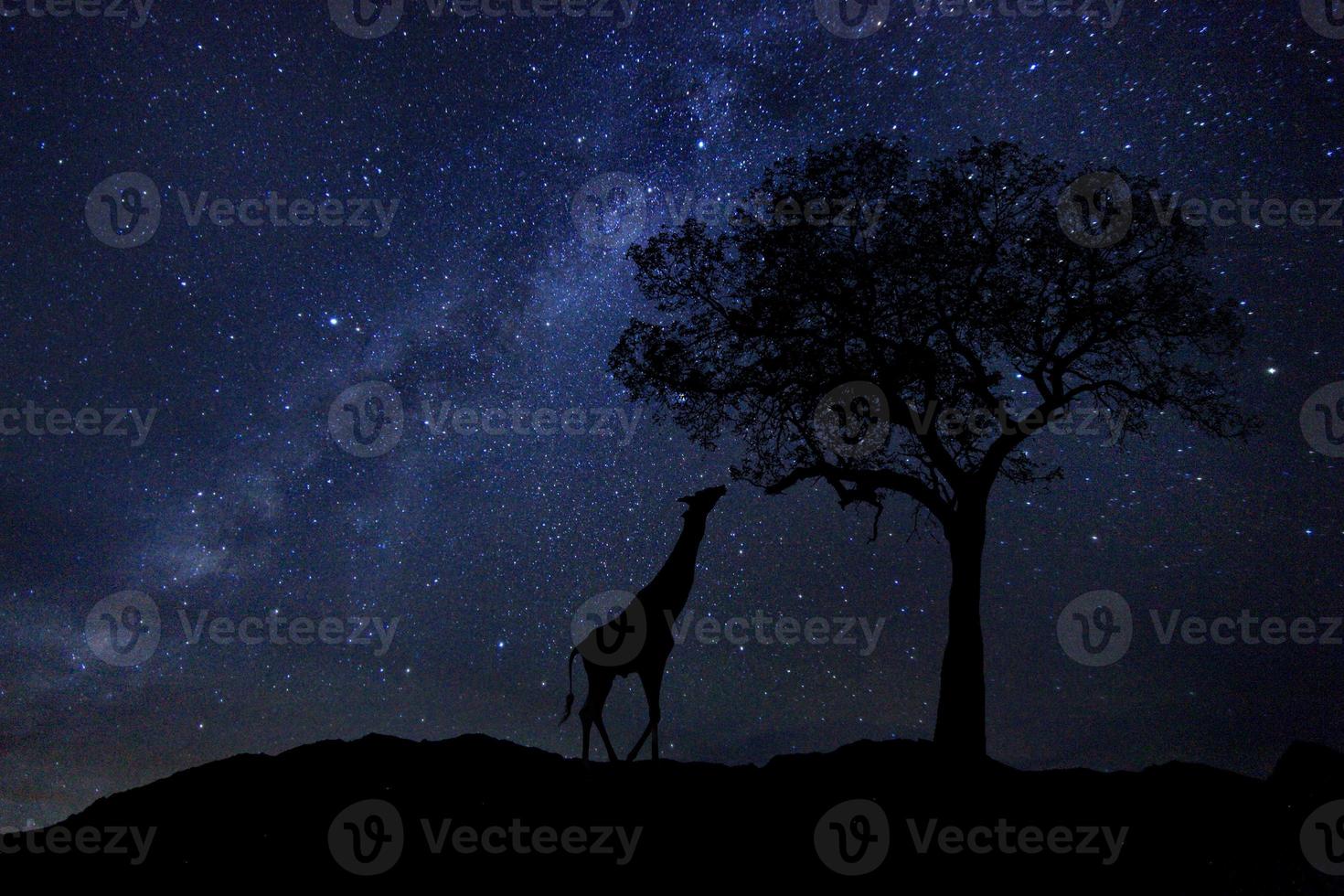 Estelas de estrellas Milk Way en el cielo nocturno de Sudáfrica foto