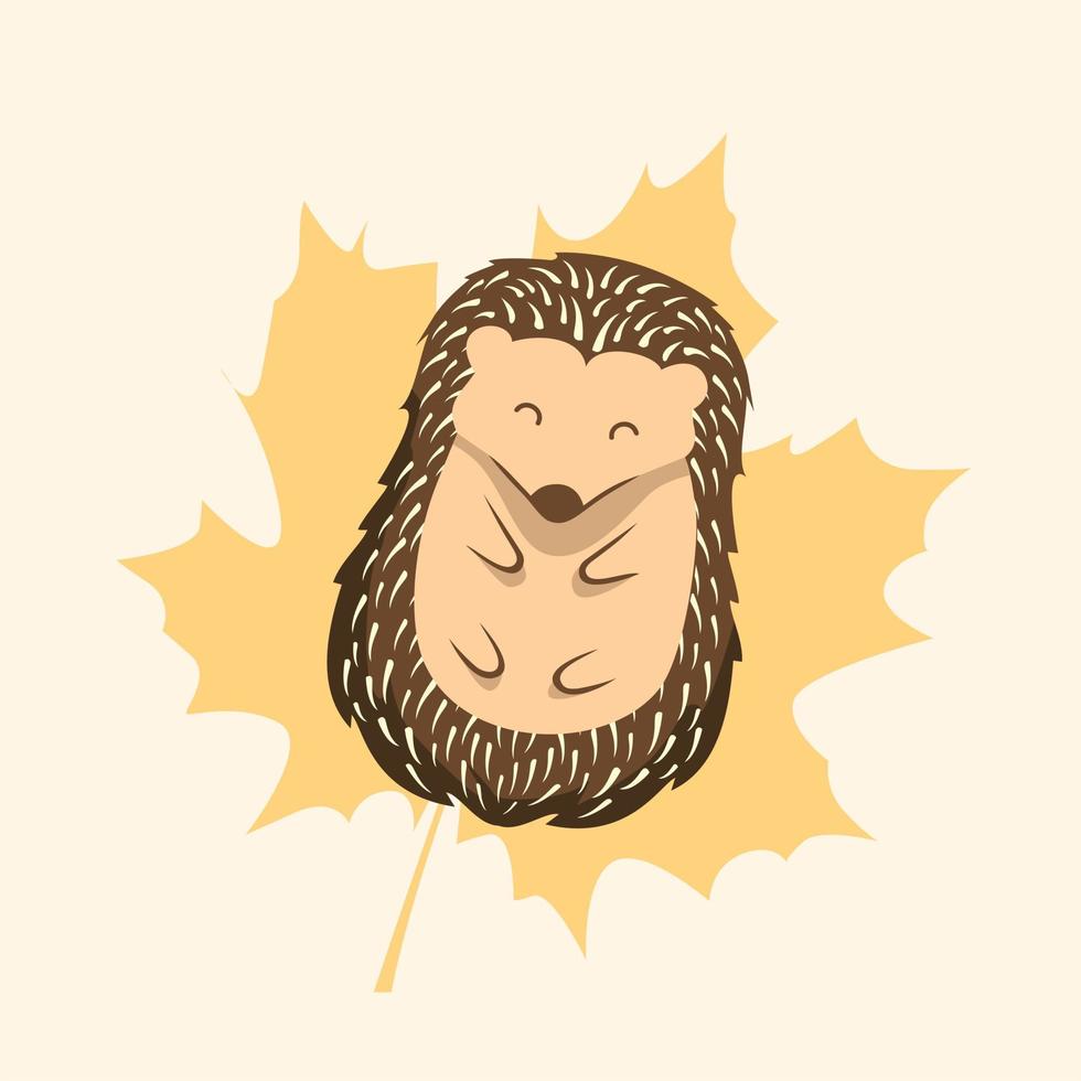 Hedgehog Illustrations Cartoon Porcupine vector