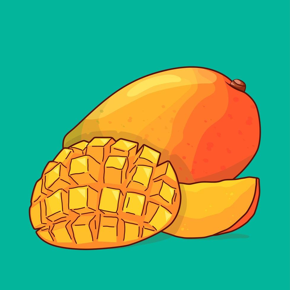 Colorful mango. Sketches with cut mango. Vector illustration isolated.