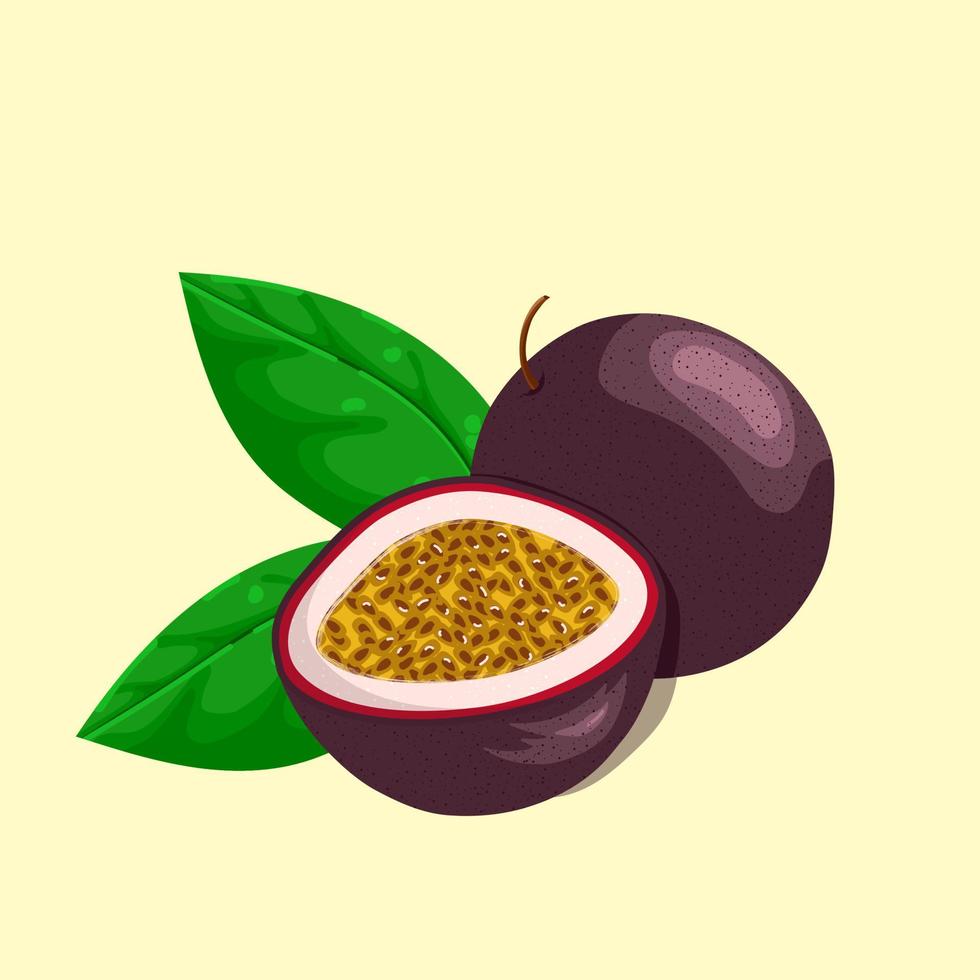 Colorful passion fruit. Sketches with cut passion fruit and leaf. Vector illustration isolated.