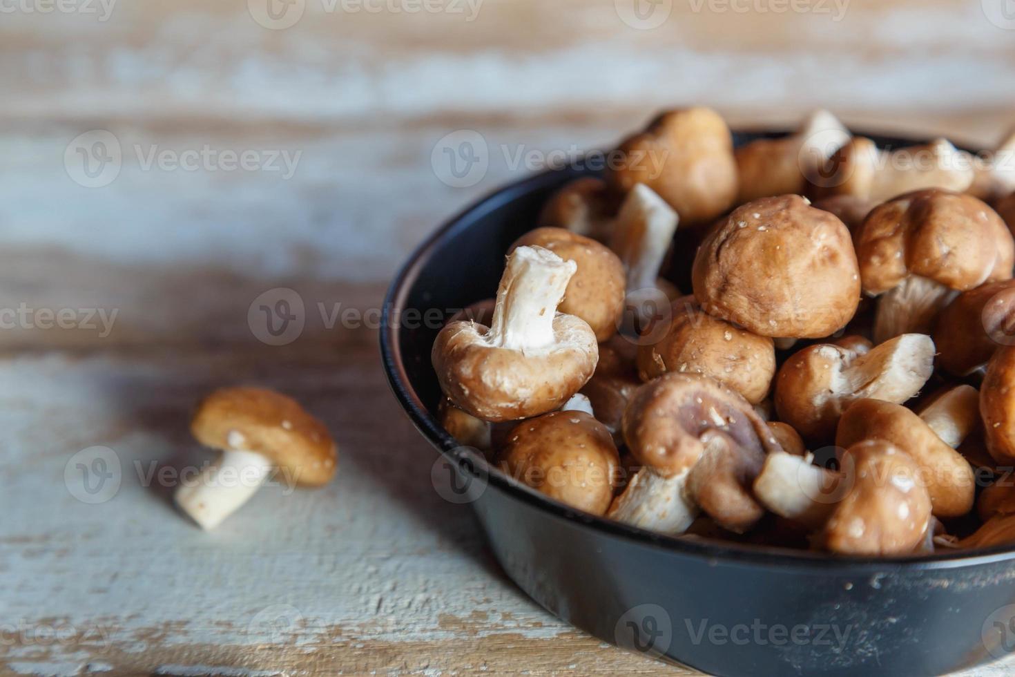 Hongos shiitake frescos en una sartén para cocinar foto