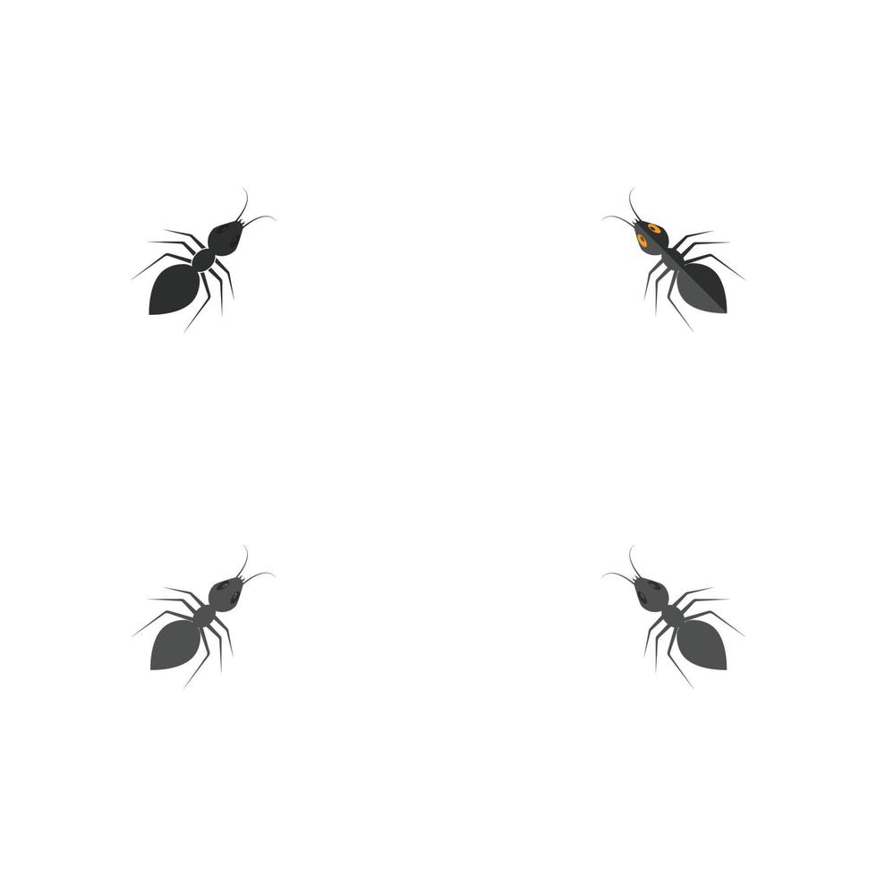 Ant vector illustration design