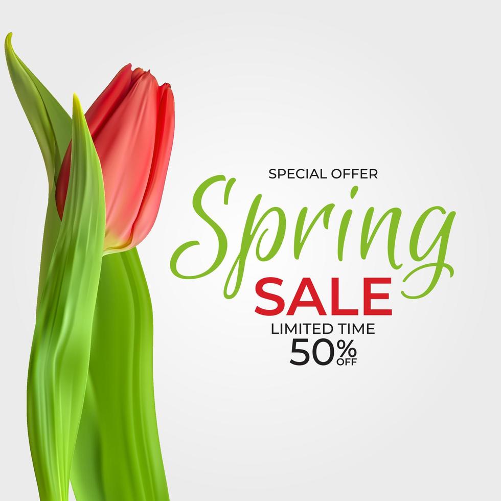 Spring Sale Template Background with realistic Tulip Flower. Vector Illustration