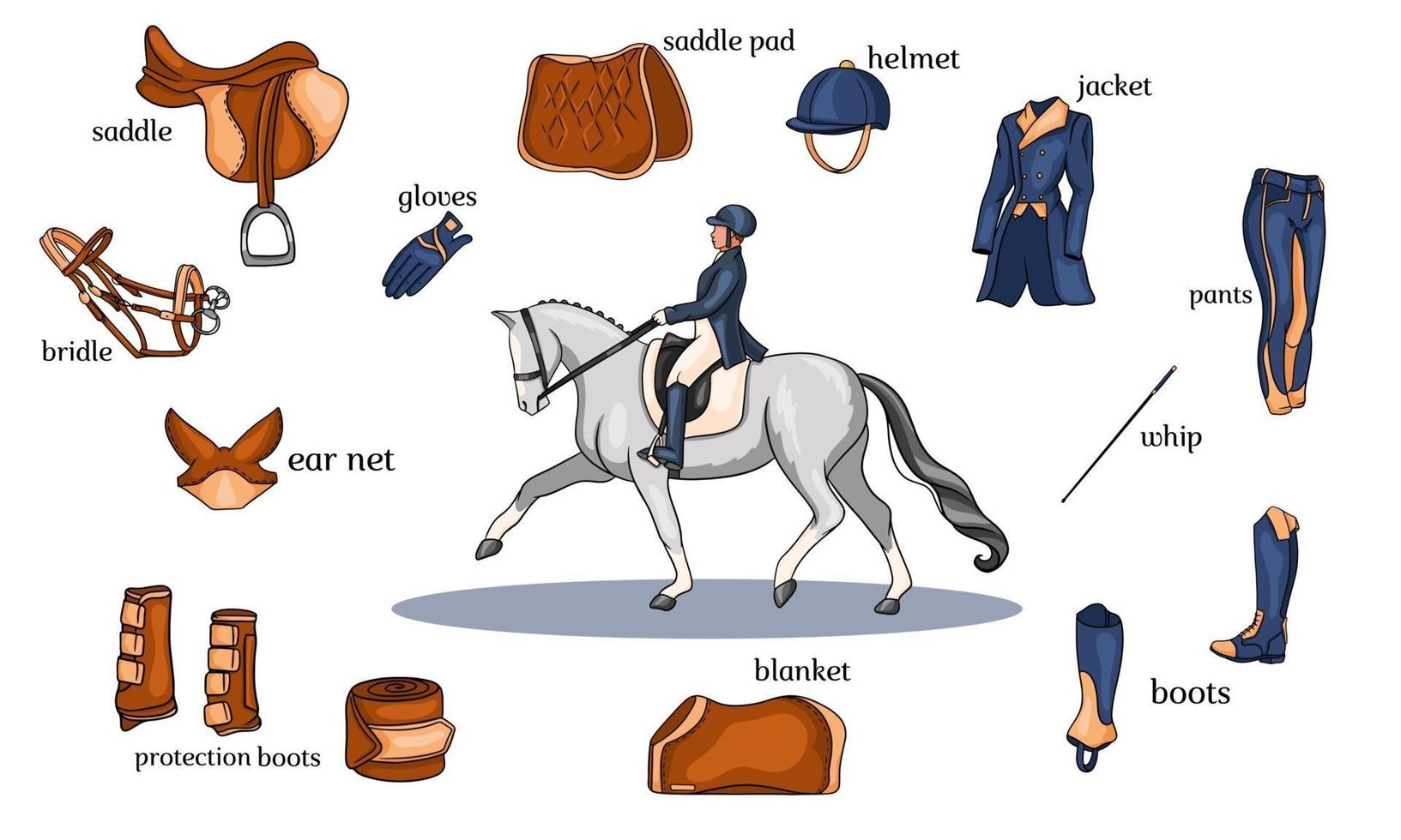 Infografía de deportes ecuestres arnés de caballos y equipo de jinete en el centro de un jinete sobre un caballo en estilo de dibujos animados vector