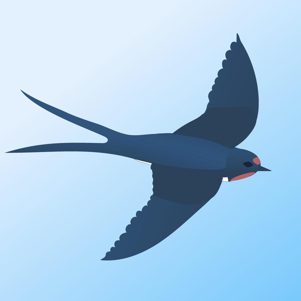 Swallow. Vector flat Illustration