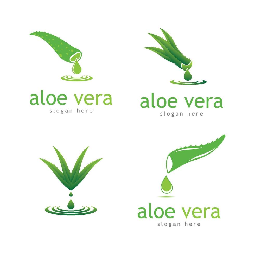 aloe vera cosmética herbal logo imágenes ilustración vector