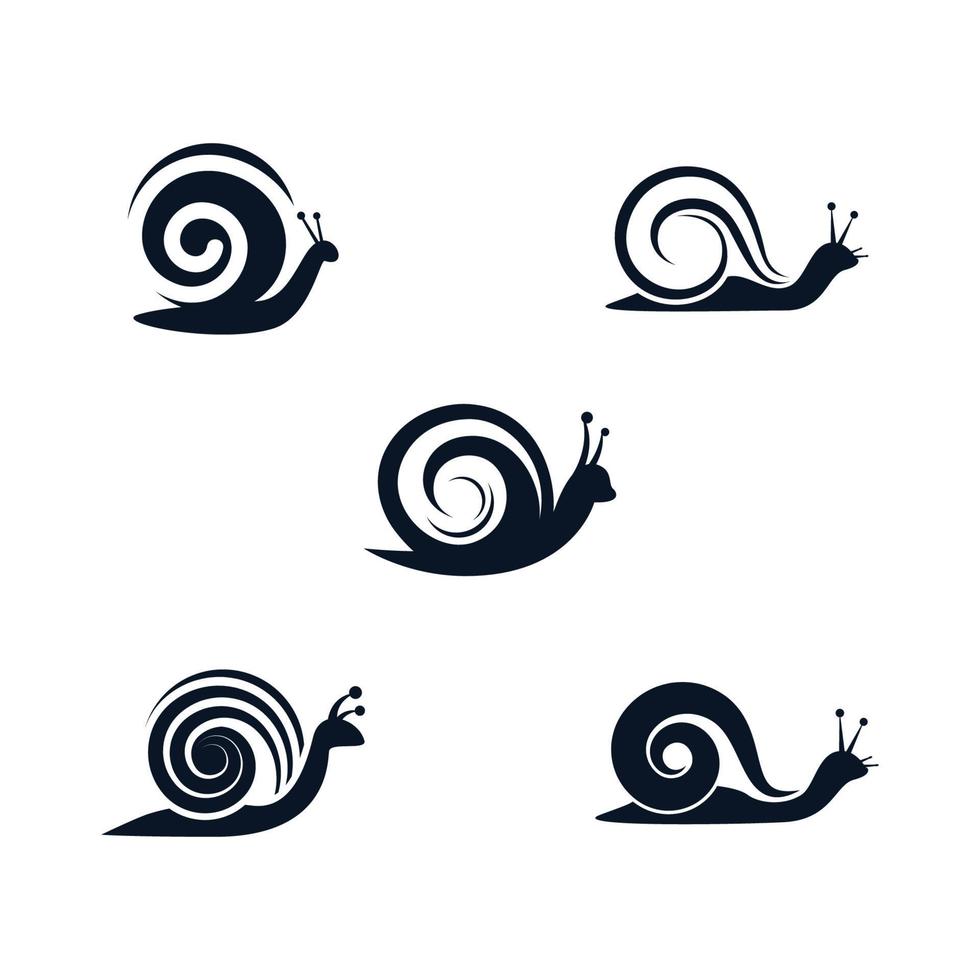 Snail logo images vector