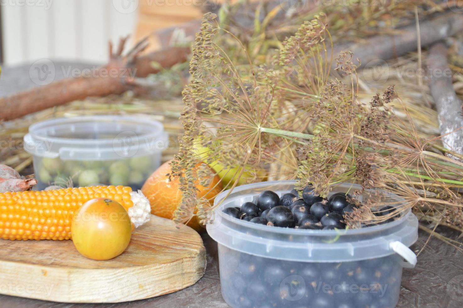 Still life of harvested berries and vegetables in the garden photo