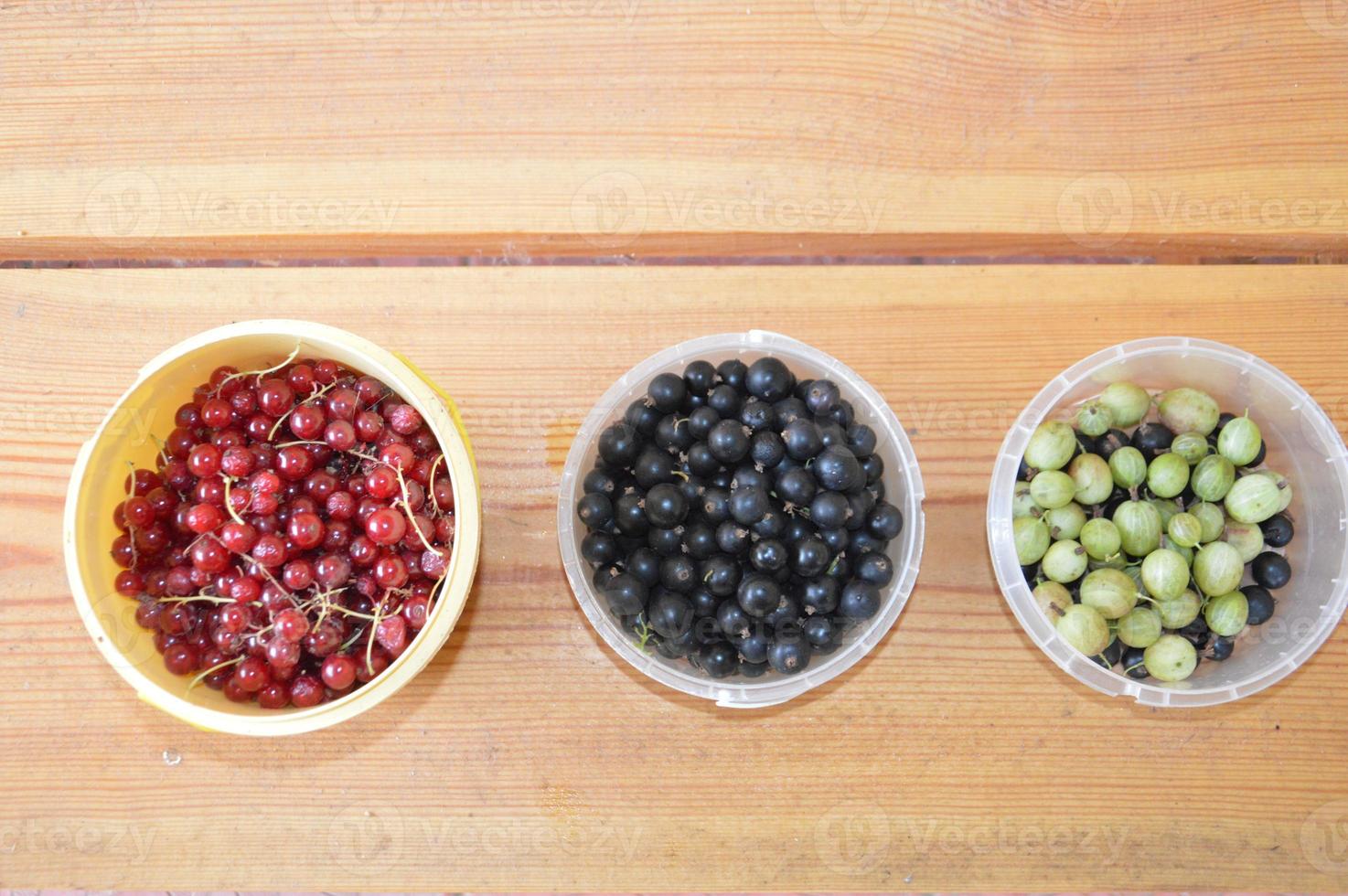 Still life of harvested berries and vegetables in the garden photo