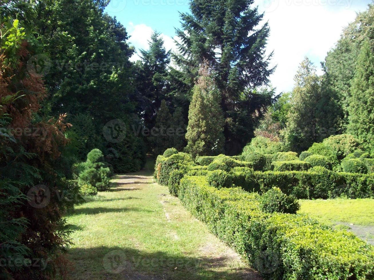 parque paisaje arte diseño de jardines foto