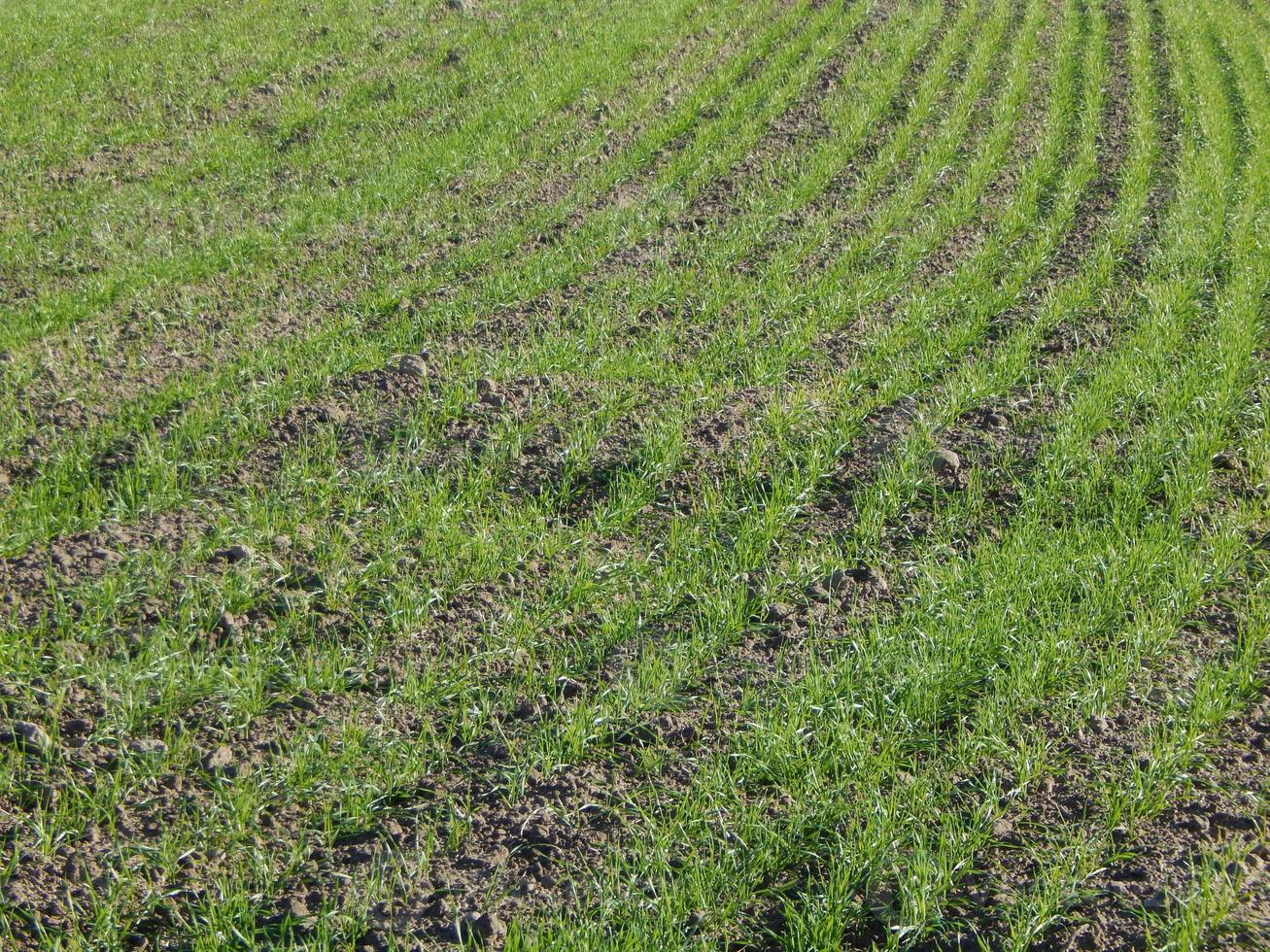 Tractor plowed field and arable land photo