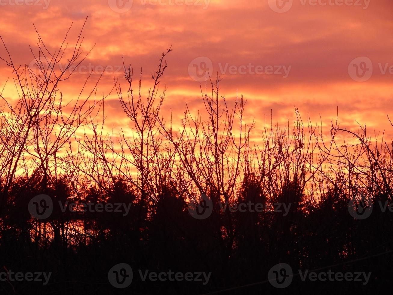 Fiery sunset on nature forest photo