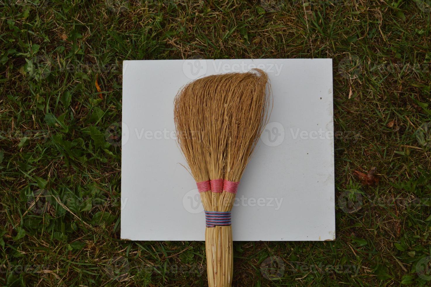Items on a white background on the grass photo