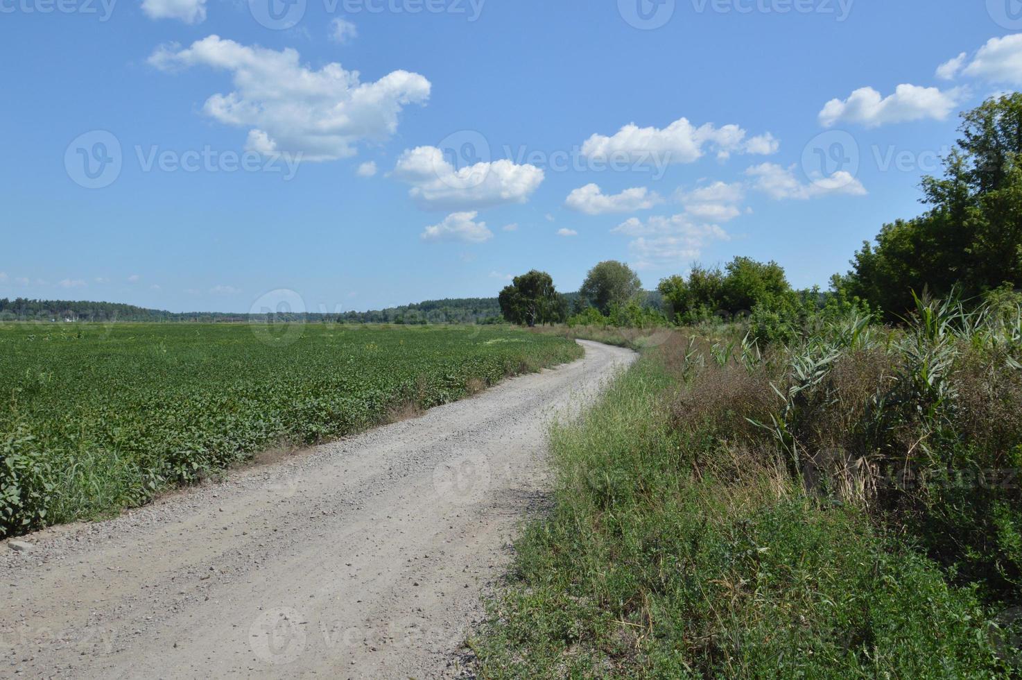 Panorama of landscape fields and roads in the village photo