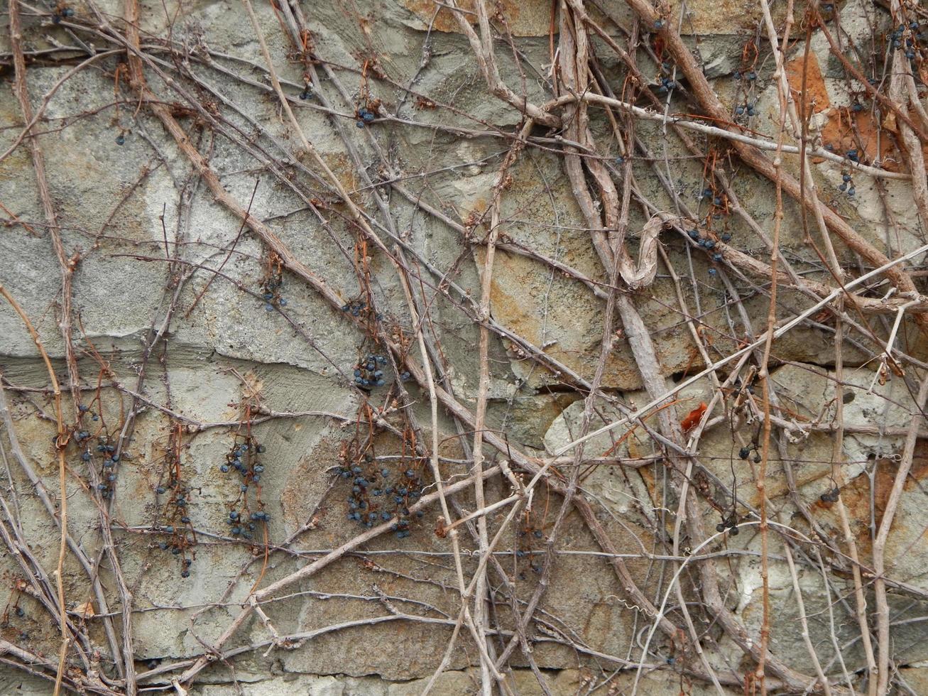 The texture of stone and brick paving and walls photo