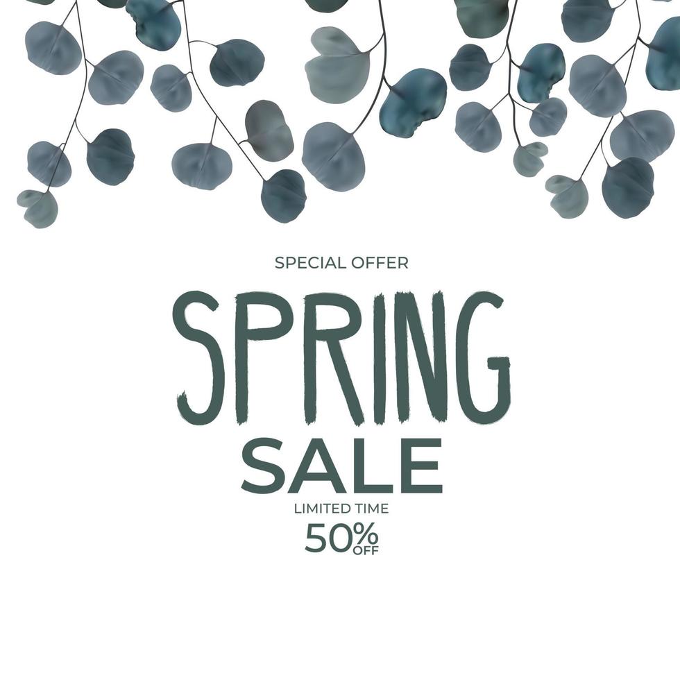 Realistic natural spring sale frame branch leaves eucalyptus background. Vector Illustration