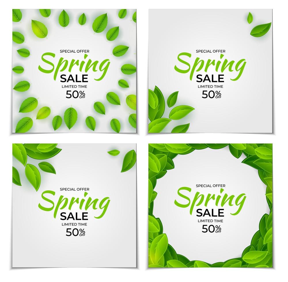 Colección de venta de primavera de luz natural establece fondo de banner de cartel con hojas verdes soleadas. conjunto de plantillas para publicidad, web, redes sociales y anuncios de moda. ilustración vectorial. Eps10 vector