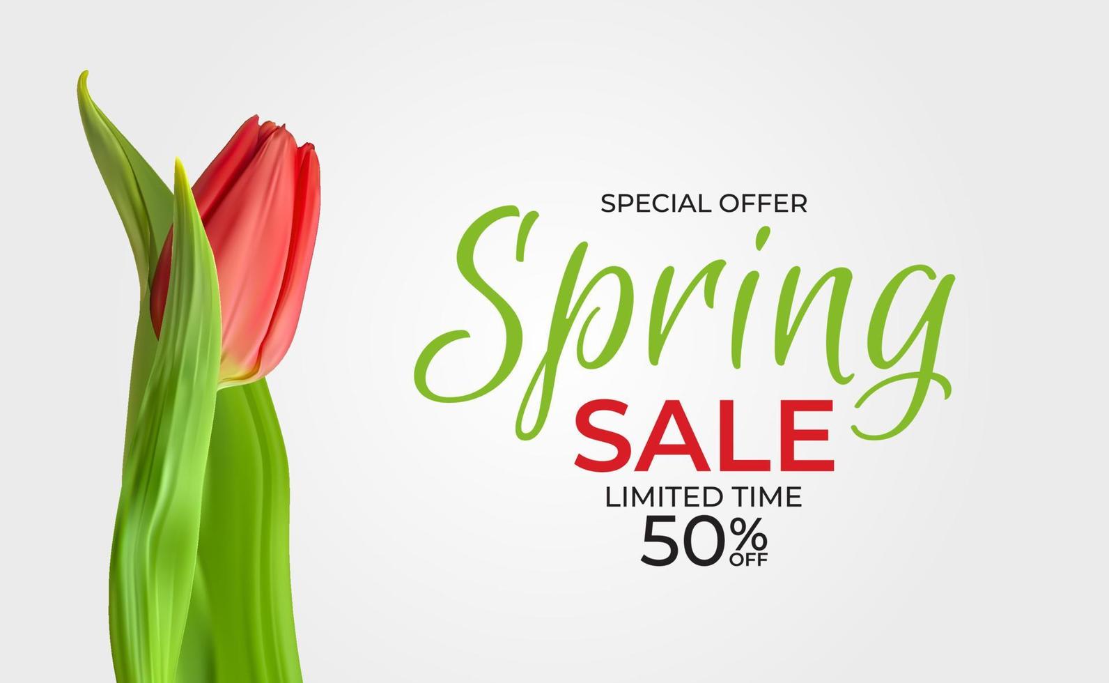 Spring Sale Template Background with realistic Tulip Flower. Vector Illustration