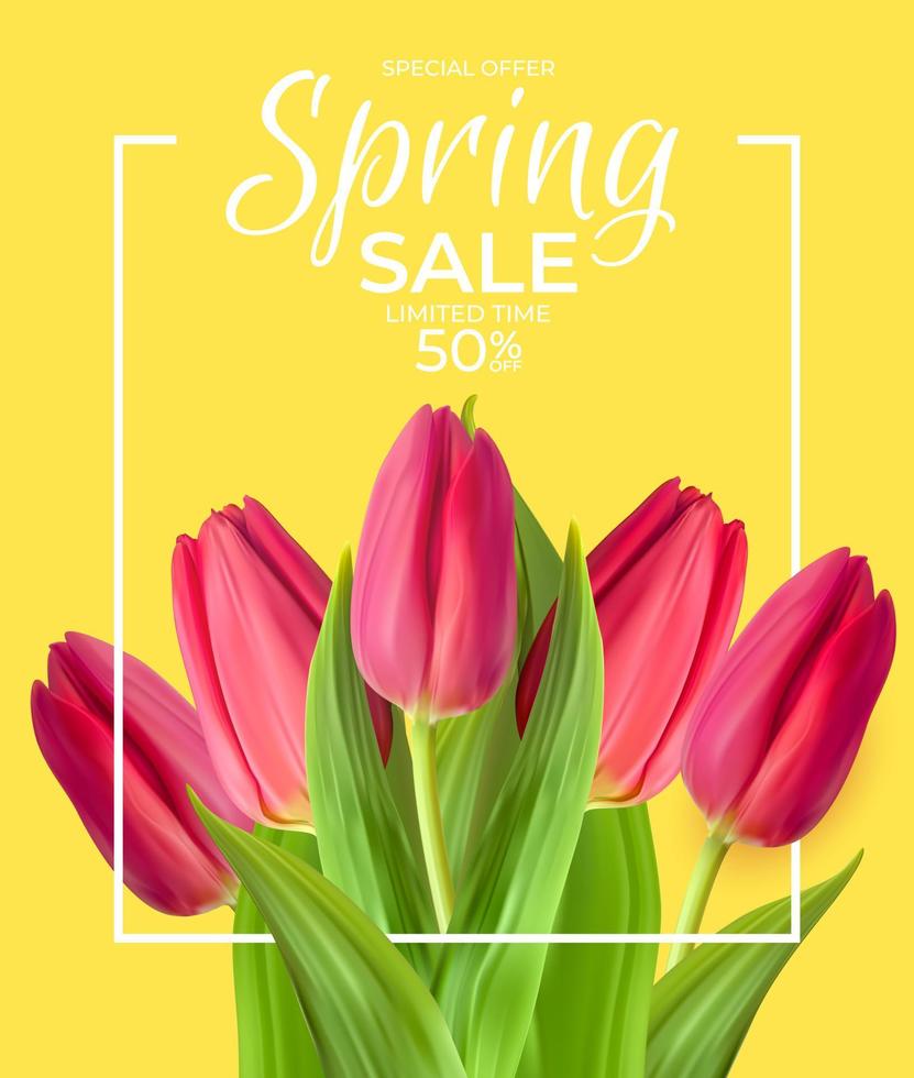 Spring Sale Template Background with realistic Tulip Flower. Vector Illustration