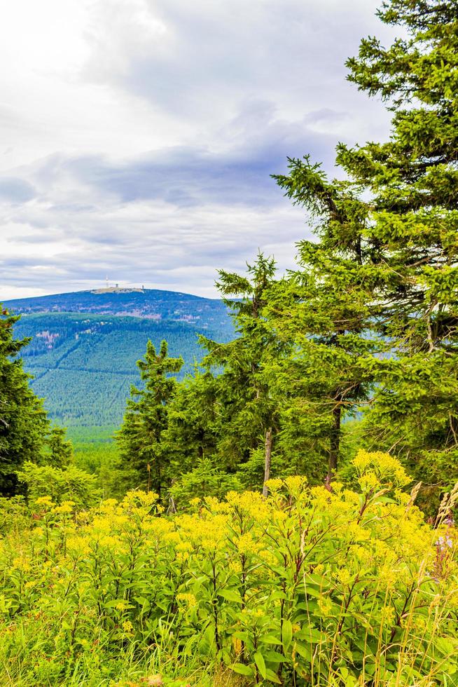 Vista panorámica del paisaje en la cima de la montaña brocken harz alemania foto