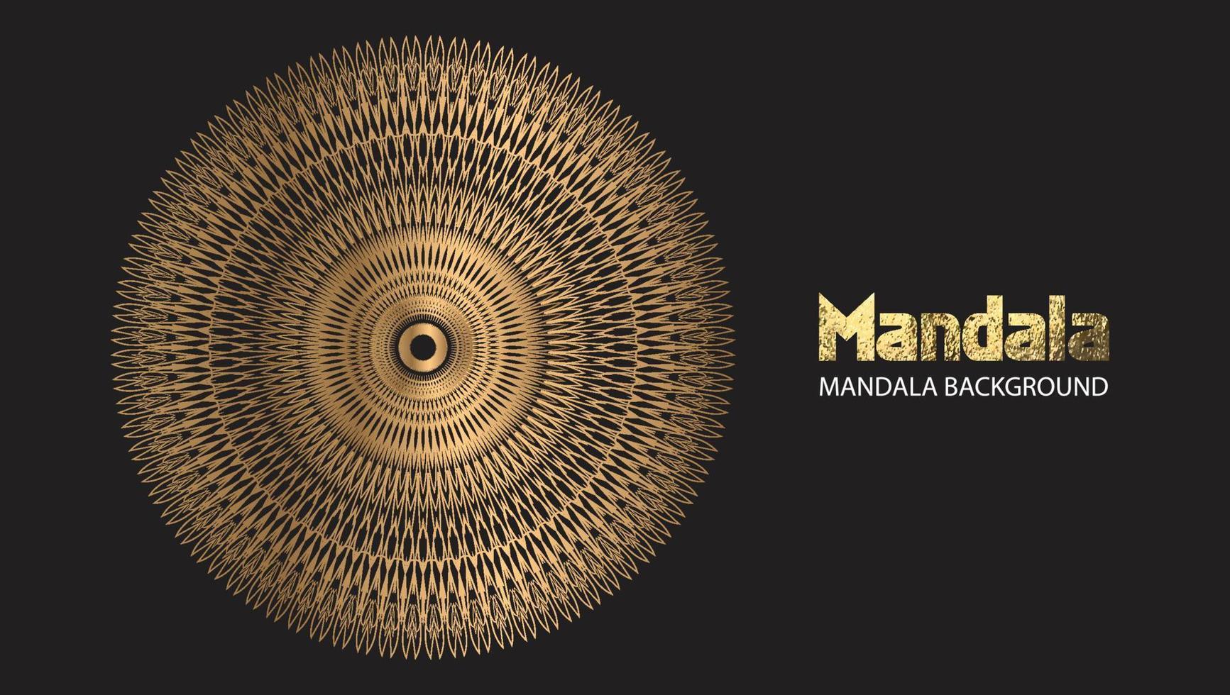 Mandala design  Unique view. vector