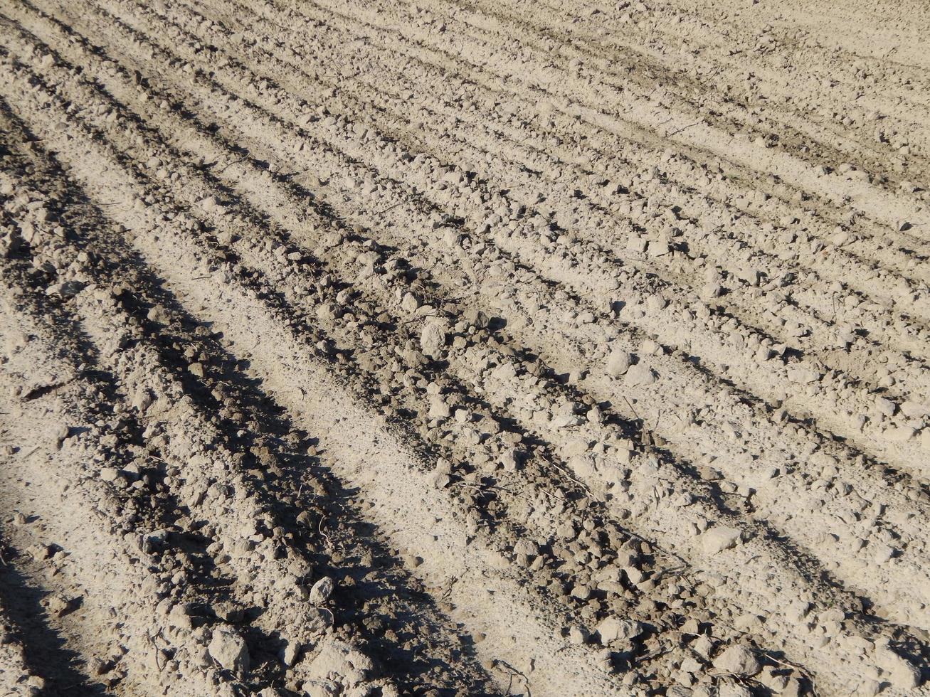 tractor arado campo y tierra cultivable foto